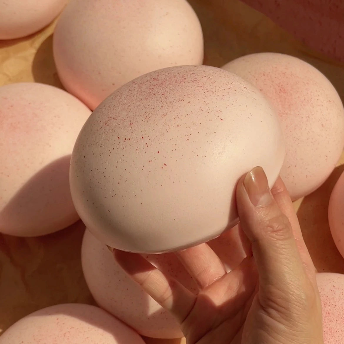 Daifuku Mochi Squishy