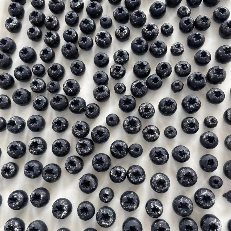 AmiGloz Blueberry Taba Squishy