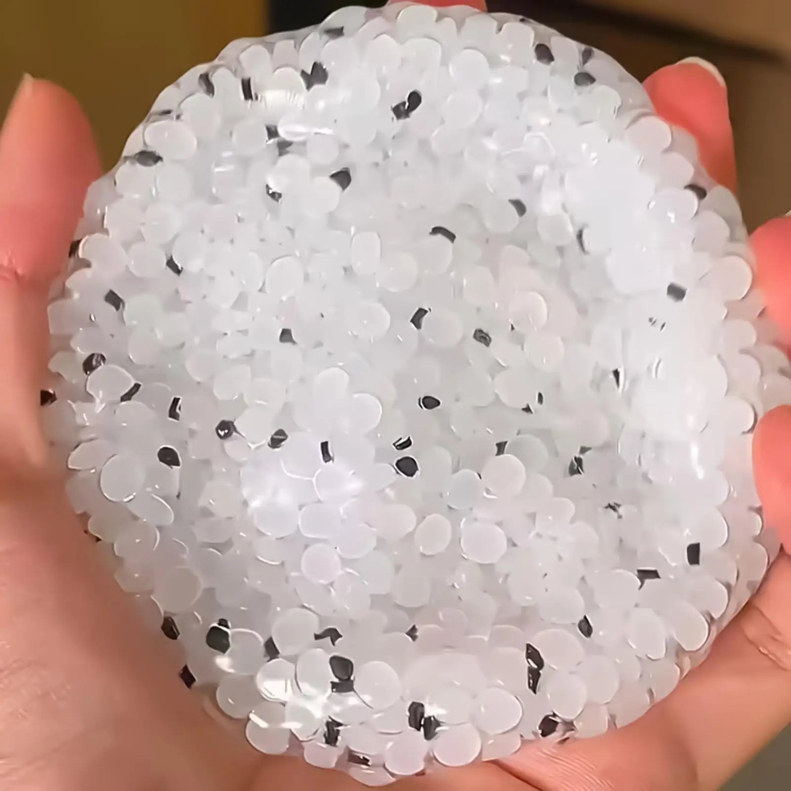 Rice Ball