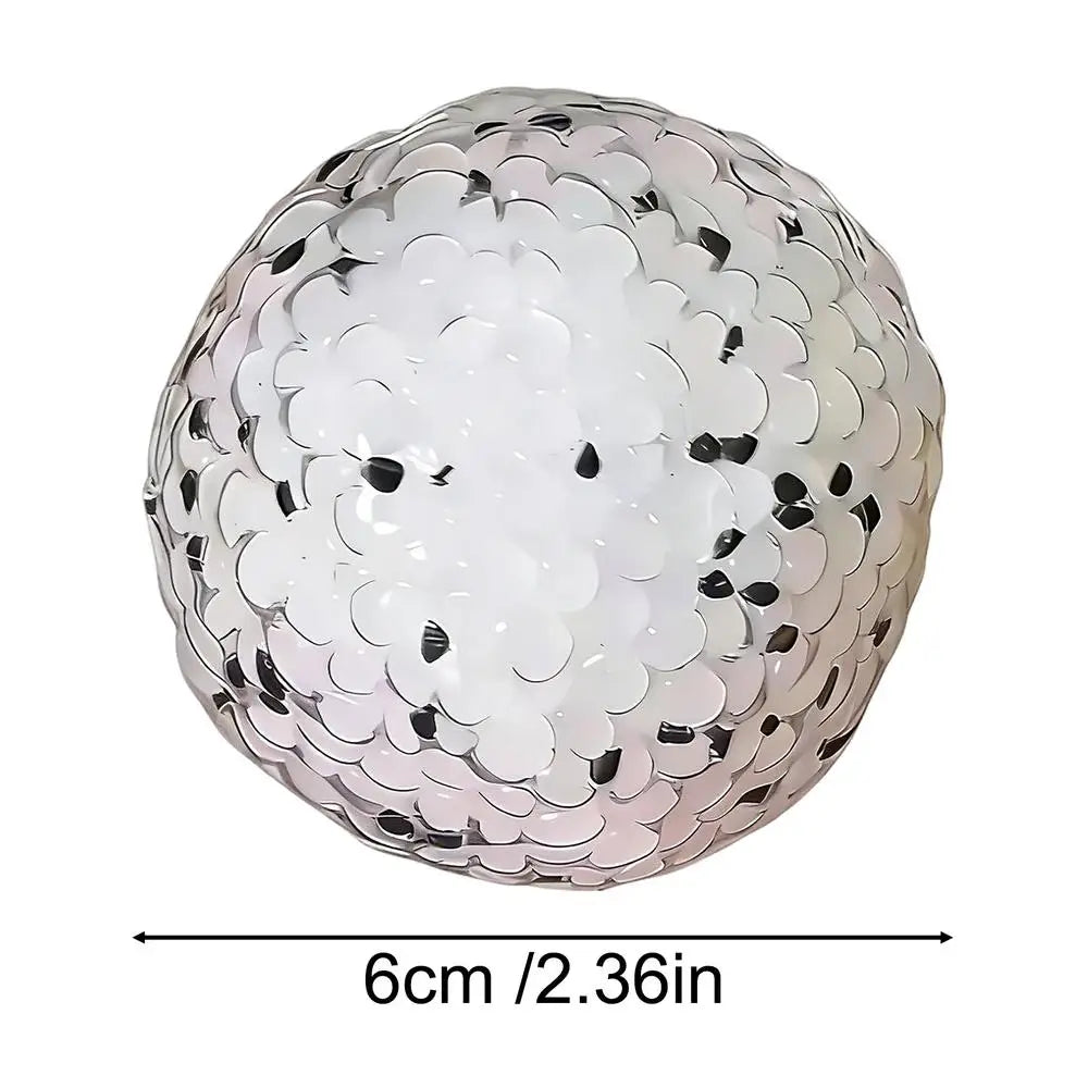 Rice Ball